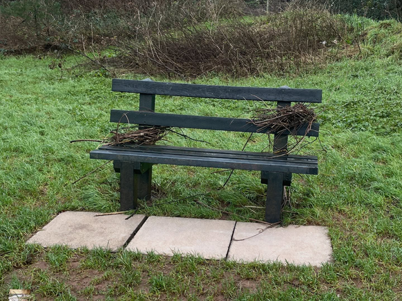 A photo of a bench with twigs tangled in it