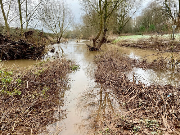 A photo of a flooded section of the River Tone