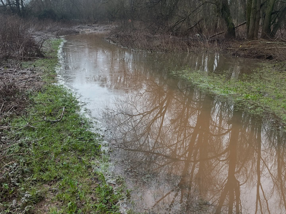 A photo of a flooded section of the River Tone