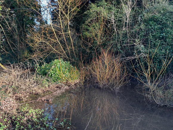 A photo of the River Tone