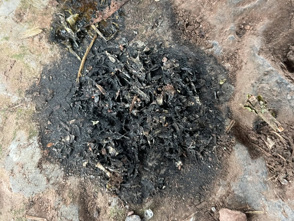 A photo of some otter spraint