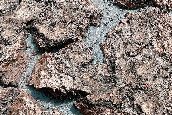 Sewage sludge drying and forming a crust